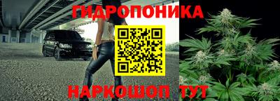 ГАЛЛЮЦИНОГЕННЫЕ ГРИБЫ Обнинск