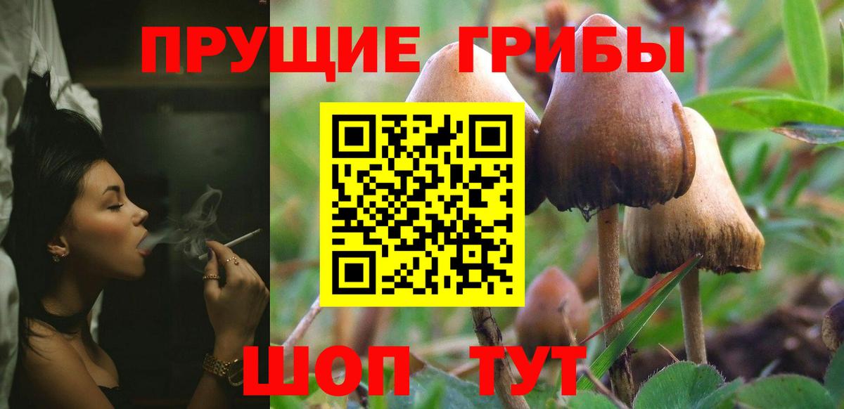 Ростов Великий  Псилоцибиновые грибы GOLDEN TEACHER  Вход с VPN 