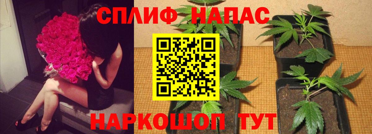 Бошки Шишки планчик  МАРИХУАНА семена  МАРИХУАНА ГИДРОПОН  Ростов Великий  Вход с VPN  Бошки Шишки AK-47 